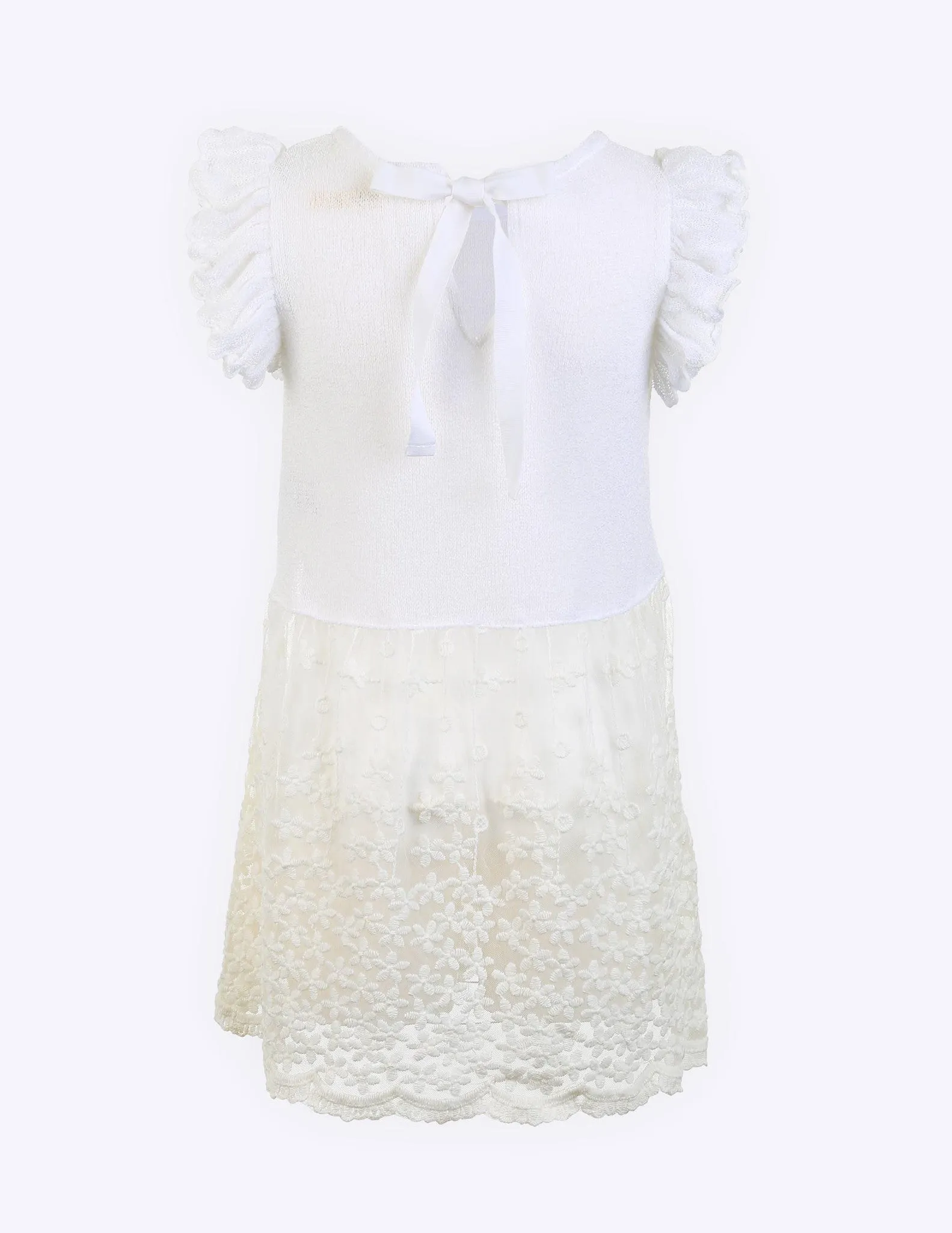 Frilled Sleeve Lace Dress